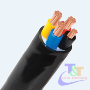 Dây cáp điện Cadivi CVV
