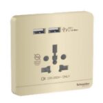 Bộ ổ cắm đa năng và USB đôi màu Vàng ánh kim Schneider E8342616USB_WG_G19