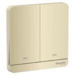 Bộ Công Tắc Đôi 2 Cực 20A Màu Vàng Kim Schneider E8332D20N_WG_G19