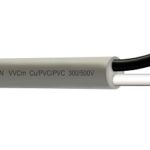Cáp mềm VVCm 2×10 Lion VVCm 2×10